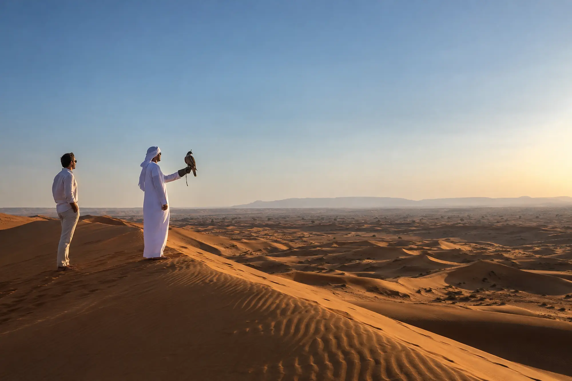A falconer with a hooded peregrine on his glove on a dune ridge